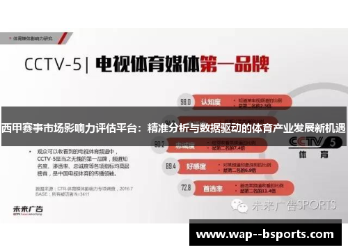 西甲赛事市场影响力评估平台：精准分析与数据驱动的体育产业发展新机遇
